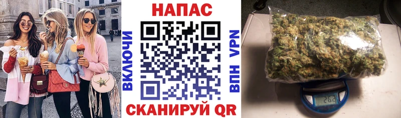 где найти   Качканар  блэк спрут онион  Каннабис ГИДРОПОН 